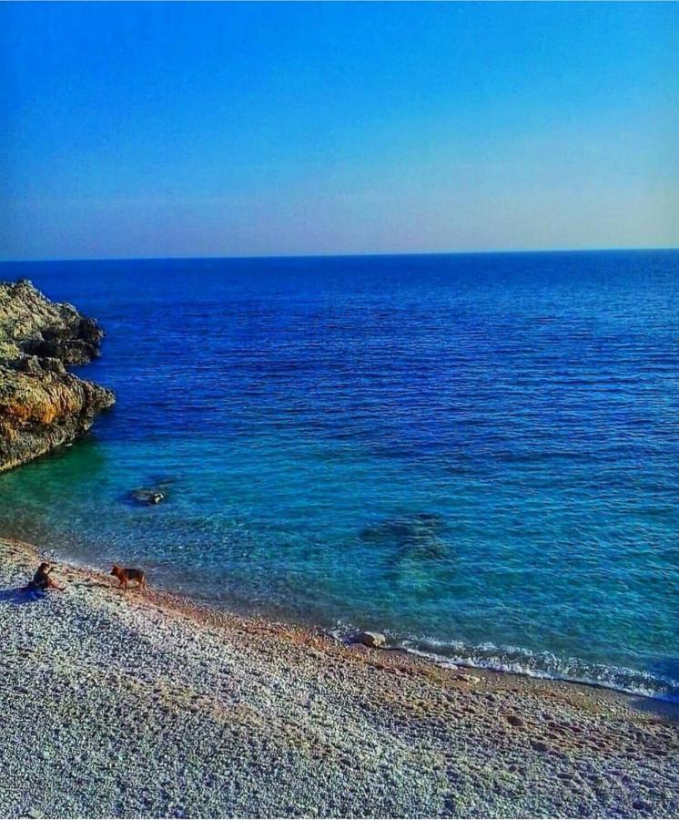 Oskar Amphitheater Apartments And Rooms With Free Parking Pula Exterior foto